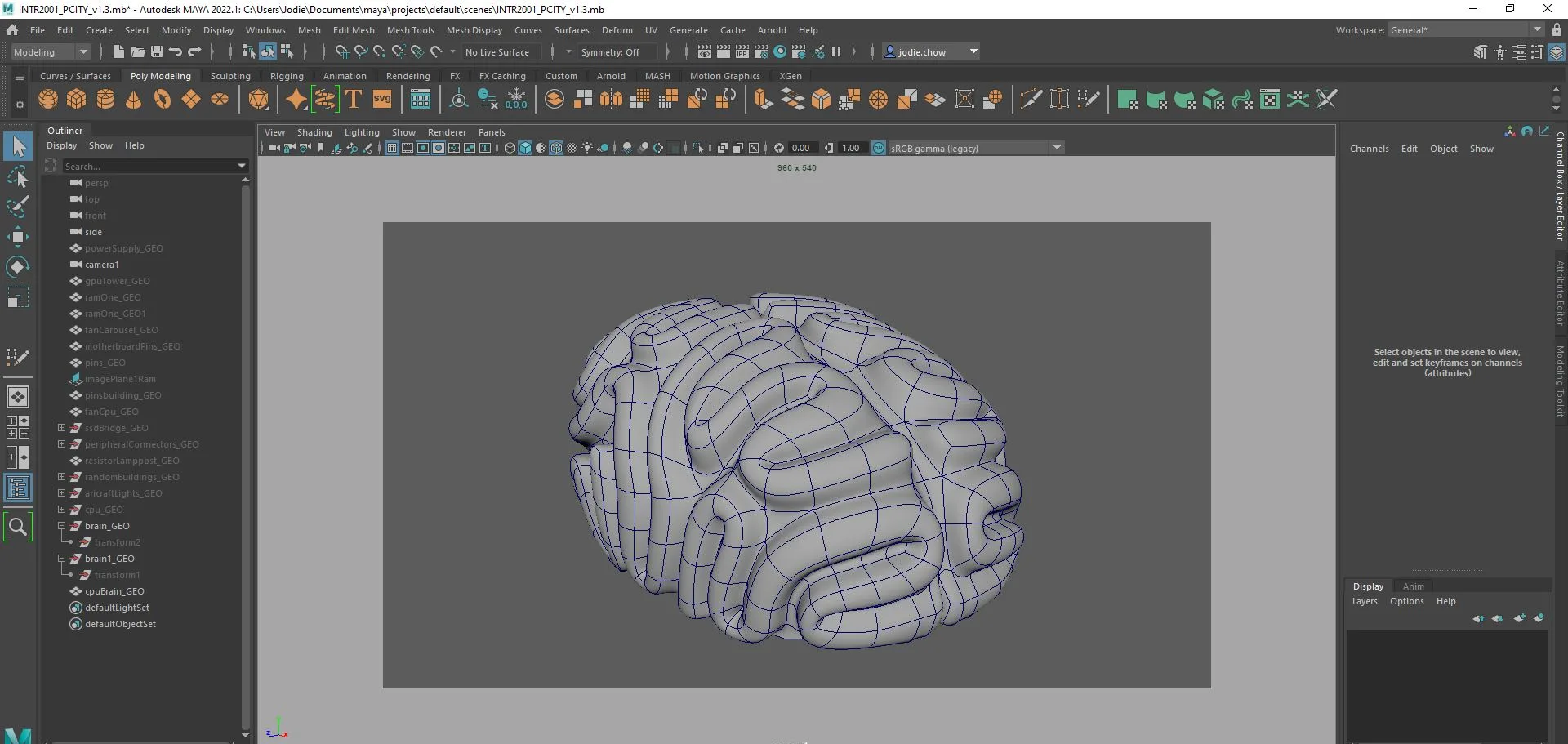 Brain with folds sculpted into the surface